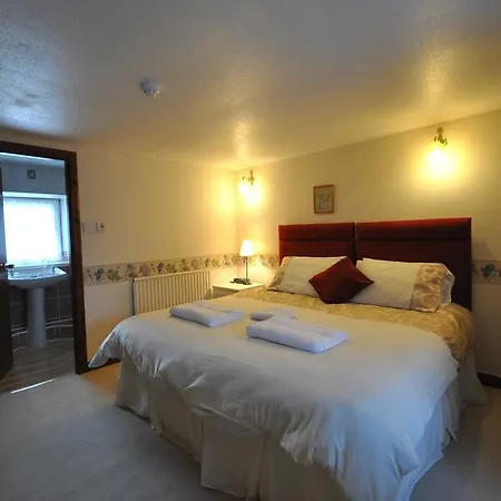 Saucy Mary'S Private Rooms & Hostel-2